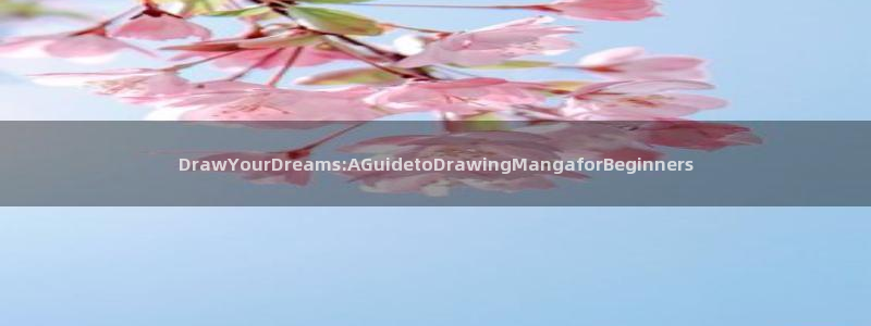 古古漫画app：DrawYourDreams:AGuidetoDrawingMangaforBeginners